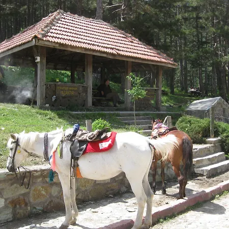 Sunnet Golu Dogal Yasam 3*